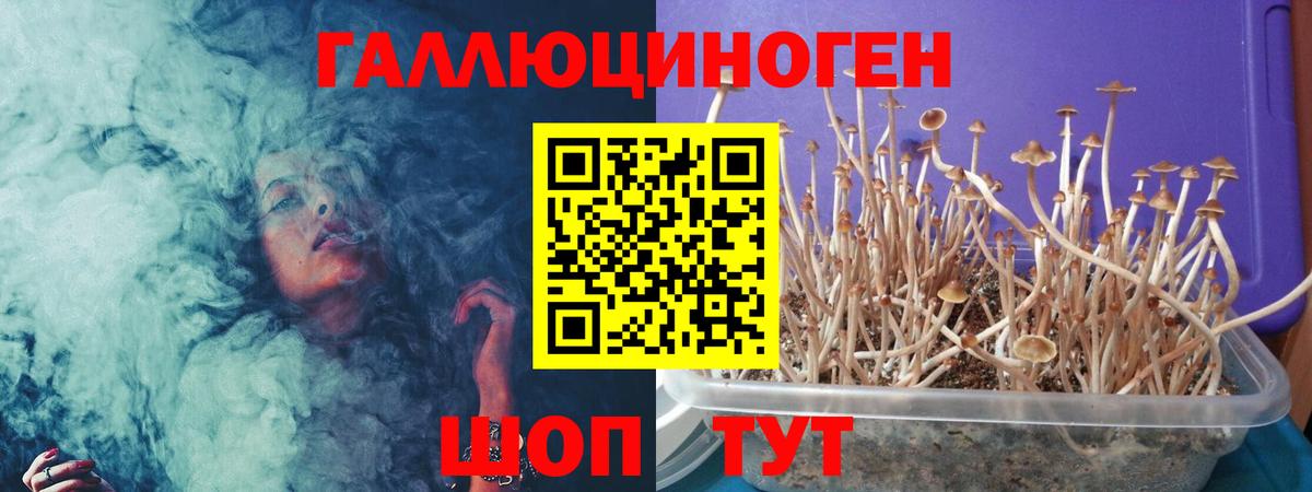 Псилоцибиновые грибы Magic Shrooms  где можно купить наркотик  Псилоцибиновые грибы GOLDEN TEACHER  Фурманов  Вход с VPN 